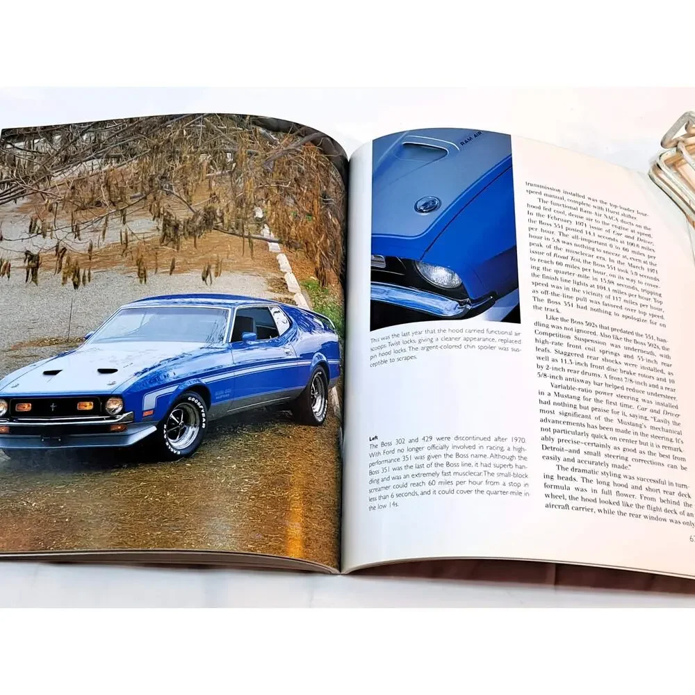 The Mustang by David Newhardt (2002 Trade Paperback)